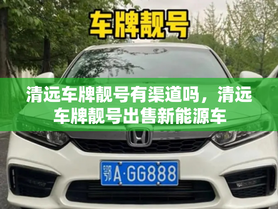 清远车牌靓号有渠道吗，清远车牌靓号出售新能源车-第3张图片-七号汽车选号