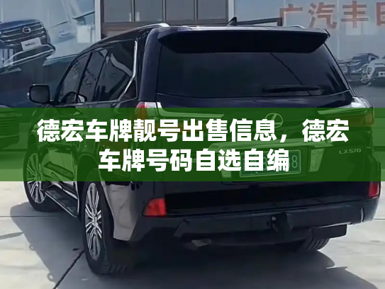 德宏车牌靓号出售信息,德宏车牌号码自选自编-第2张图片-七号汽车选号 德宏车牌靓号出售信息,德宏车牌号码自选自编-第2张图片-七号汽车选号