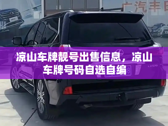 凉山车牌靓号出售信息,凉山车牌号码自选自编-第2张图片-七号汽车选号 凉山车牌靓号出售信息,凉山车牌号码自选自编-第2张图片-七号汽车选号