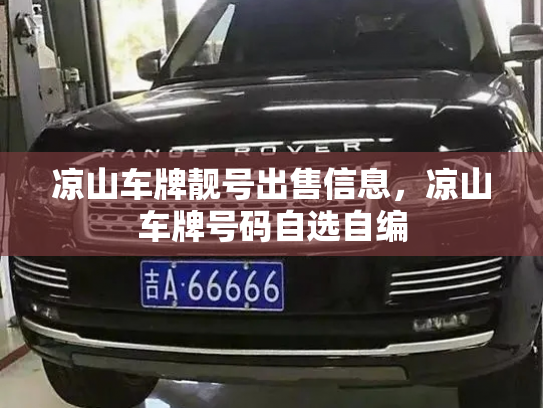 凉山车牌靓号出售信息,凉山车牌号码自选自编-第3张图片-七号汽车选号 凉山车牌靓号出售信息,凉山车牌号码自选自编-第3张图片-七号汽车选号