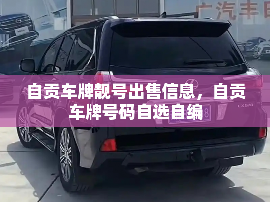 自贡车牌靓号出售信息，自贡车牌号码自选自编