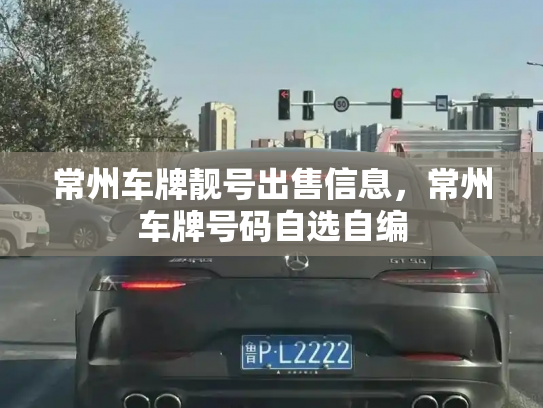 常州车牌靓号出售信息，常州车牌号码自选自编-第3张图片-七号汽车选号