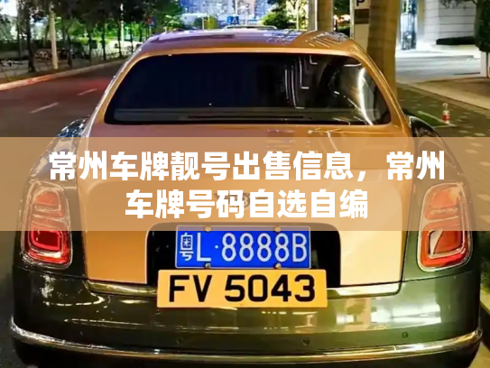 常州车牌靓号出售信息，常州车牌号码自选自编