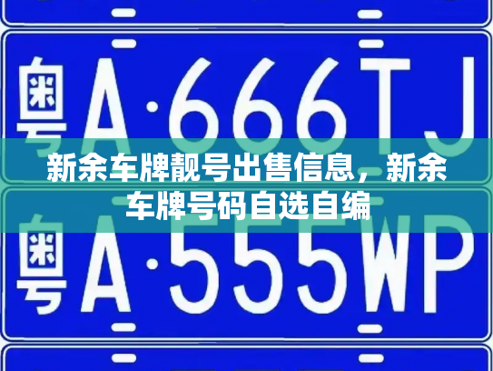 新余车牌靓号出售信息，新余车牌号码自选自编-第2张图片-七号汽车选号