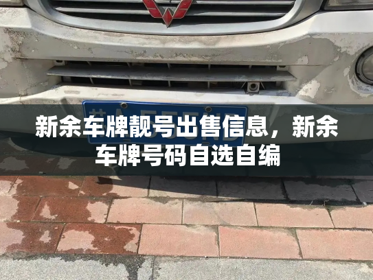 新余车牌靓号出售信息，新余车牌号码自选自编