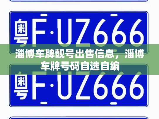 淄博车牌靓号出售信息，淄博车牌号码自选自编-第2张图片-七号汽车选号