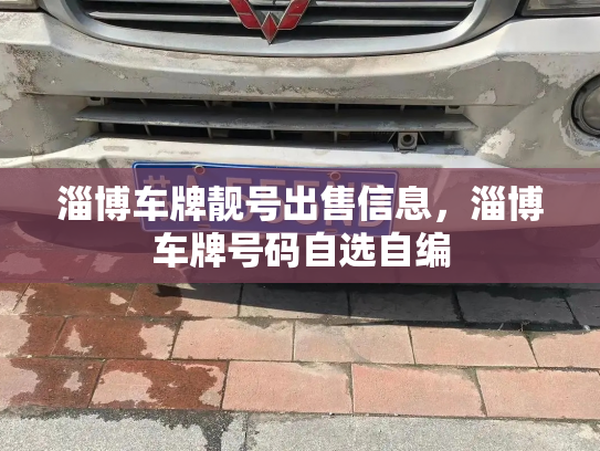 淄博车牌靓号出售信息，淄博车牌号码自选自编-第3张图片-七号汽车选号