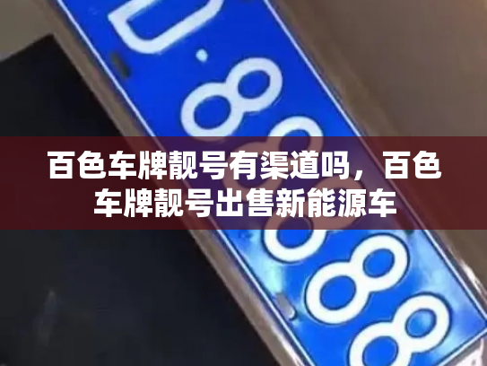 百色车牌靓号有渠道吗，百色车牌靓号出售新能源车-第3张图片-七号汽车选号