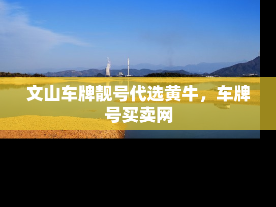 文山车牌靓号代选黄牛，车牌号买卖网