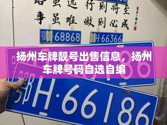 扬州车牌靓号出售信息,扬州车牌号码自选自编-第3张图片-七号汽车选号 扬州车牌靓号出售信息,扬州车牌号码自选自编-第3张图片-七号汽车选号