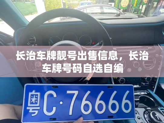 长治车牌靓号出售信息，长治车牌号码自选自编-第3张图片-七号汽车选号