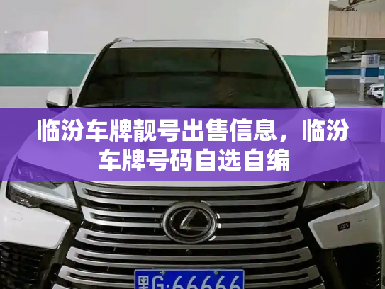 临汾车牌靓号出售信息，临汾车牌号码自选自编-第3张图片-七号汽车选号