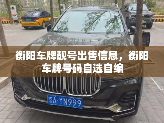 衡阳车牌靓号出售信息，衡阳车牌号码自选自编