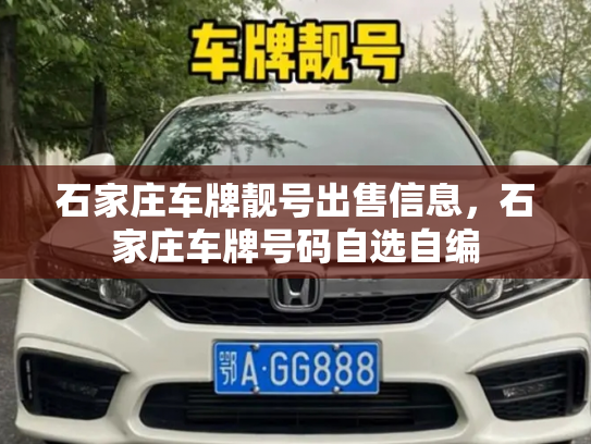 石家庄车牌靓号出售信息,石家庄车牌号码自选自编-第2张图片-七号汽车选号 石家庄车牌靓号出售信息,石家庄车牌号码自选自编-第2张图片-七号汽车选号