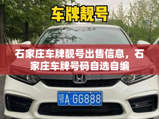 石家庄车牌靓号出售信息,石家庄车牌号码自选自编-第3张图片-七号汽车选号 石家庄车牌靓号出售信息,石家庄车牌号码自选自编-第3张图片-七号汽车选号