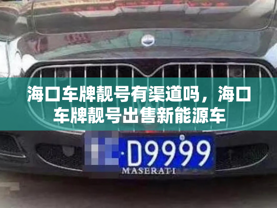 海口车牌靓号有渠道吗,海口车牌靓号出售新能源车-第2张图片-七号汽车选号 海口车牌靓号有渠道吗,海口车牌靓号出售新能源车-第2张图片-七号汽车选号