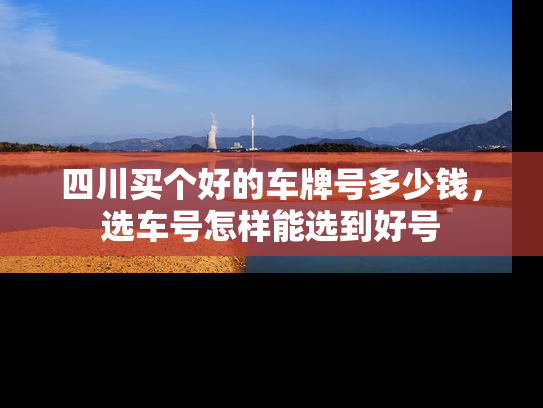 四川买个好的车牌号多少钱，选车号怎样能选到好号