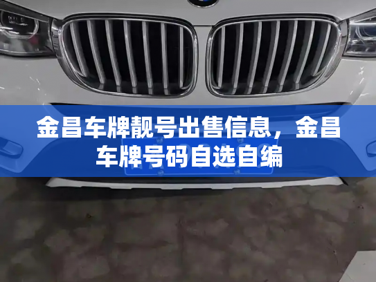 金昌车牌靓号出售信息，金昌车牌号码自选自编-第3张图片-七号汽车选号