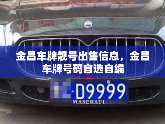金昌车牌靓号出售信息，金昌车牌号码自选自编