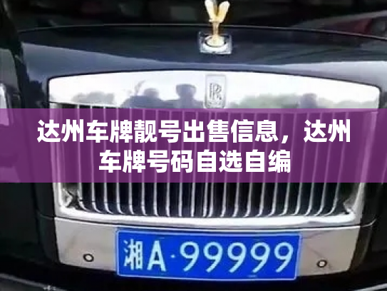达州车牌靓号出售信息，达州车牌号码自选自编