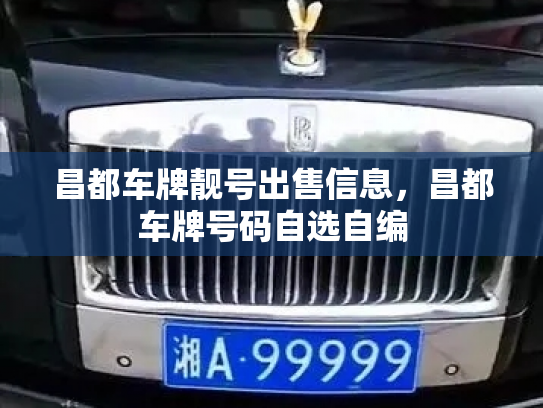 昌都车牌靓号出售信息,昌都车牌号码自选自编-第3张图片-七号汽车选号 昌都车牌靓号出售信息,昌都车牌号码自选自编-第3张图片-七号汽车选号