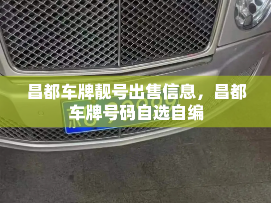 昌都车牌靓号出售信息，昌都车牌号码自选自编