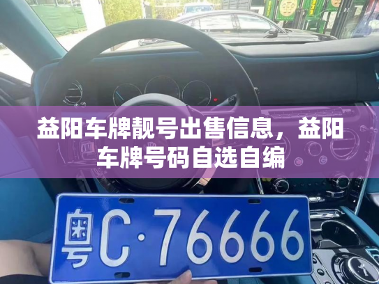 益阳车牌靓号出售信息，益阳车牌号码自选自编