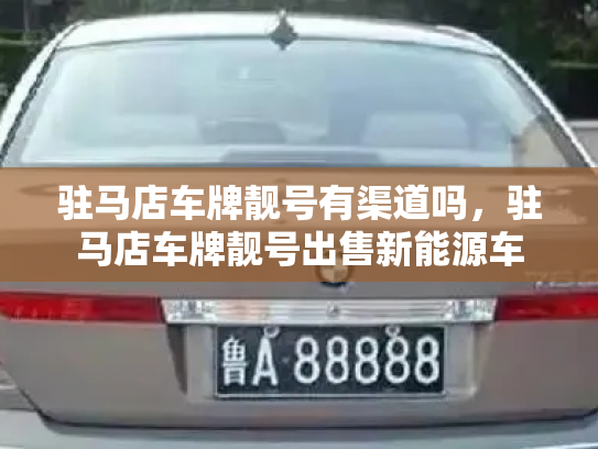 驻马店车牌靓号有渠道吗,驻马店车牌靓号出售新能源车-第3张图片-七号汽车选号 驻马店车牌靓号有渠道吗,驻马店车牌靓号出售新能源车-第3张图片-七号汽车选号