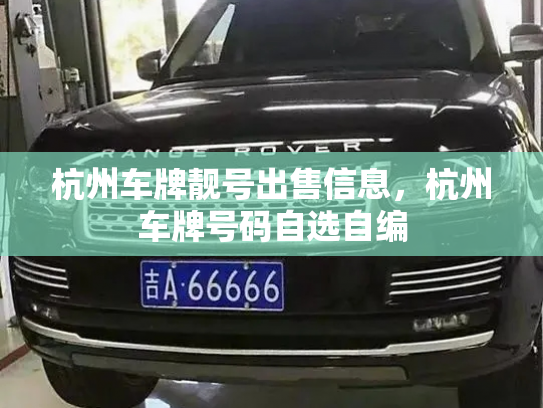 杭州车牌靓号出售信息,杭州车牌号码自选自编-第2张图片-七号汽车选号 杭州车牌靓号出售信息,杭州车牌号码自选自编-第2张图片-七号汽车选号