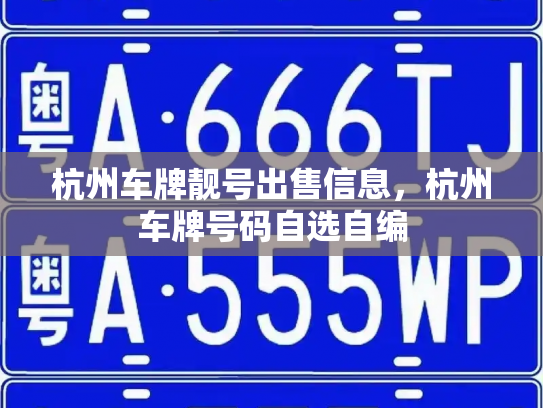杭州车牌靓号出售信息，杭州车牌号码自选自编