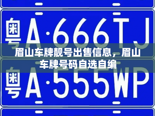 眉山车牌靓号出售信息，眉山车牌号码自选自编