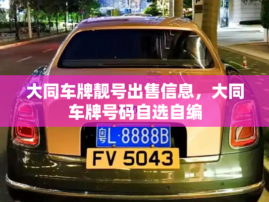 大同车牌靓号出售信息，大同车牌号码自选自编-第2张图片-七号汽车选号