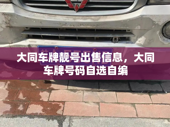 大同车牌靓号出售信息，大同车牌号码自选自编-第3张图片-七号汽车选号