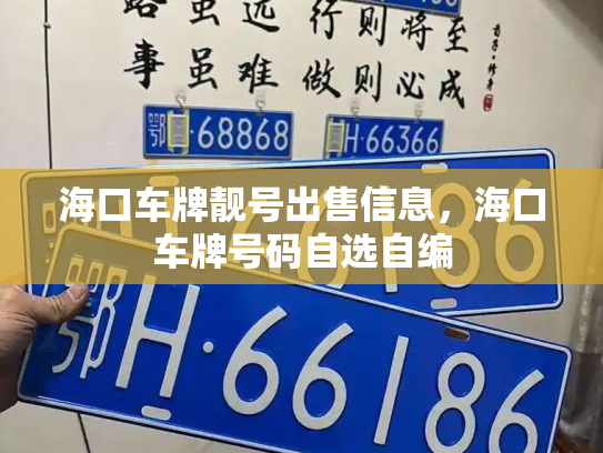 海口车牌靓号出售信息，海口车牌号码自选自编