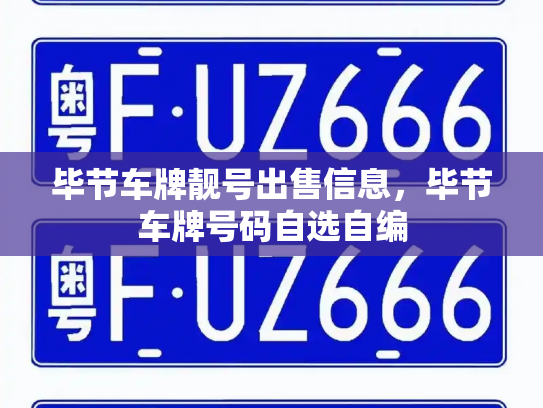 毕节车牌靓号出售信息,毕节车牌号码自选自编-第2张图片-七号汽车选号 毕节车牌靓号出售信息,毕节车牌号码自选自编-第2张图片-七号汽车选号