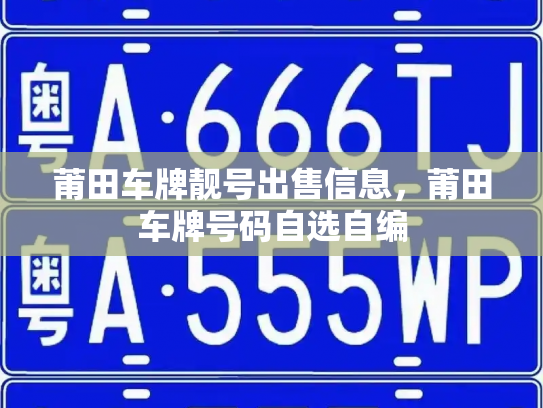 莆田车牌靓号出售信息,莆田车牌号码自选自编-第3张图片-七号汽车选号 莆田车牌靓号出售信息,莆田车牌号码自选自编-第3张图片-七号汽车选号