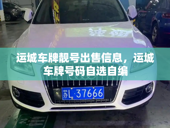 运城车牌靓号出售信息,运城车牌号码自选自编-第2张图片-七号汽车选号 运城车牌靓号出售信息,运城车牌号码自选自编-第2张图片-七号汽车选号