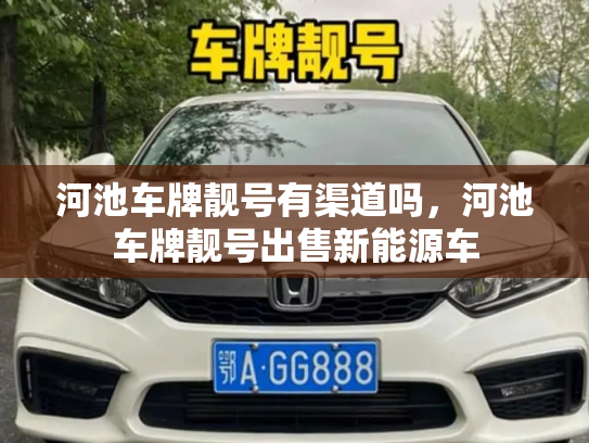 河池车牌靓号有渠道吗，河池车牌靓号出售新能源车-第2张图片-七号汽车选号