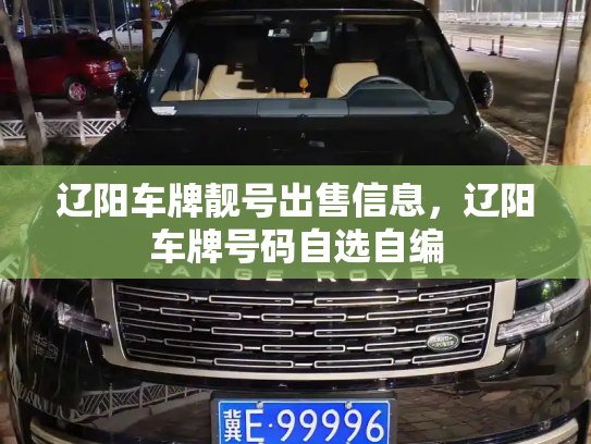 辽阳车牌靓号出售信息,辽阳车牌号码自选自编-第2张图片-七号汽车选号 辽阳车牌靓号出售信息,辽阳车牌号码自选自编-第2张图片-七号汽车选号