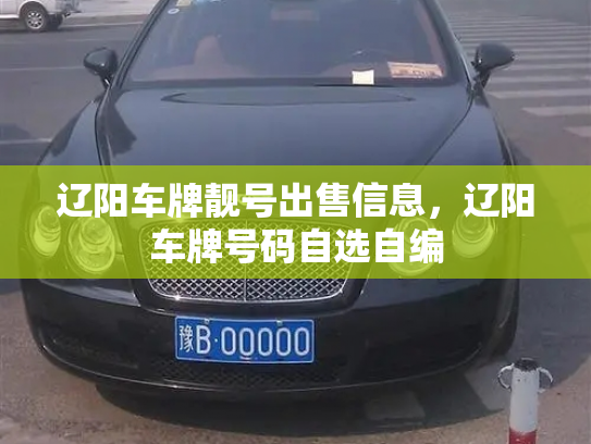 辽阳车牌靓号出售信息,辽阳车牌号码自选自编-第3张图片-七号汽车选号 辽阳车牌靓号出售信息,辽阳车牌号码自选自编-第3张图片-七号汽车选号