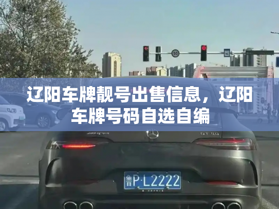 辽阳车牌靓号出售信息,辽阳车牌号码自选自编 辽阳车牌靓号出售信息,辽阳车牌号码自选自编