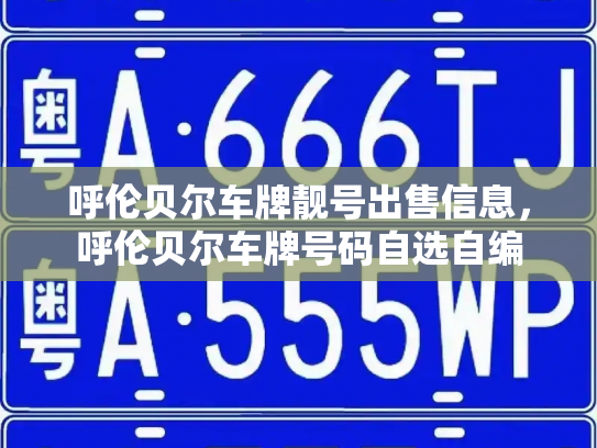 呼伦贝尔车牌靓号出售信息,呼伦贝尔车牌号码自选自编-第3张图片-七号汽车选号 呼伦贝尔车牌靓号出售信息,呼伦贝尔车牌号码自选自编-第3张图片-七号汽车选号