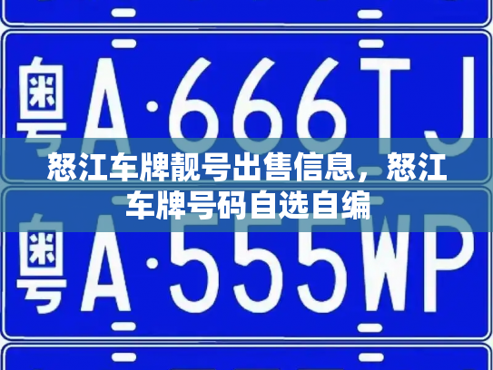 怒江车牌靓号出售信息,怒江车牌号码自选自编-第2张图片-七号汽车选号 怒江车牌靓号出售信息,怒江车牌号码自选自编-第2张图片-七号汽车选号