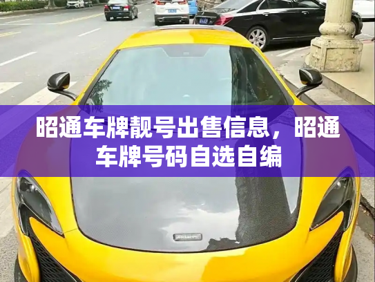 昭通车牌靓号出售信息,昭通车牌号码自选自编-第3张图片-七号汽车选号 昭通车牌靓号出售信息,昭通车牌号码自选自编-第3张图片-七号汽车选号