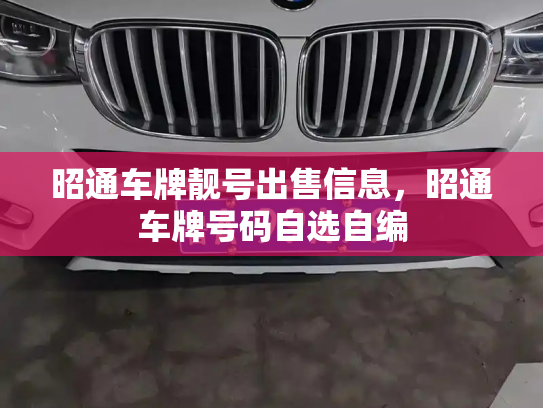 昭通车牌靓号出售信息,昭通车牌号码自选自编 昭通车牌靓号出售信息,昭通车牌号码自选自编