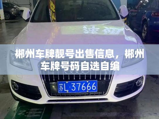 郴州车牌靓号出售信息,郴州车牌号码自选自编-第3张图片-七号汽车选号 郴州车牌靓号出售信息,郴州车牌号码自选自编-第3张图片-七号汽车选号