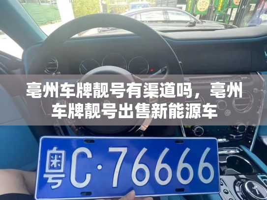 亳州车牌靓号有渠道吗,亳州车牌靓号出售新能源车-第3张图片-七号汽车选号 亳州车牌靓号有渠道吗,亳州车牌靓号出售新能源车-第3张图片-七号汽车选号