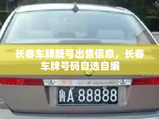 长春车牌靓号出售信息,长春车牌号码自选自编-第3张图片-七号汽车选号 长春车牌靓号出售信息,长春车牌号码自选自编-第3张图片-七号汽车选号