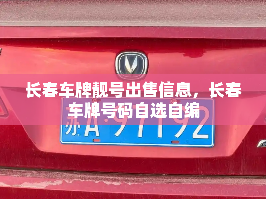 长春车牌靓号出售信息，长春车牌号码自选自编