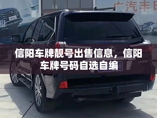 信阳车牌靓号出售信息,信阳车牌号码自选自编-第2张图片-七号汽车选号 信阳车牌靓号出售信息,信阳车牌号码自选自编-第2张图片-七号汽车选号